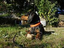 48: Paul 05-11-15 0139