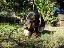 37: Paul 05-11-15 0140