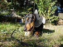 101: Paul 05-11-15 0141