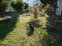 20: Paul 05-11-15 0142