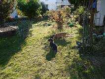 46: Paul 05-11-15 0143