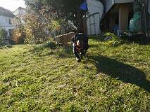 71: Paul 05-11-15 0144