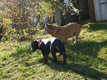 13: Paul 05-11-15 0145