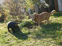 9: Paul 05-11-15 0146