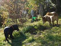 2: Paul 05-11-15 0147