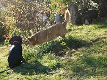 30: Paul 05-11-15 0148