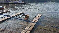 12: P1010264