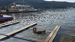 13: P1010265