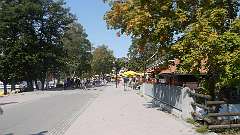 17: P1010270