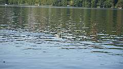 30: P1010283