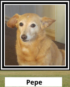 Pepe